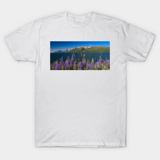 Blue Summer at Jackson Lake T-Shirt by algill